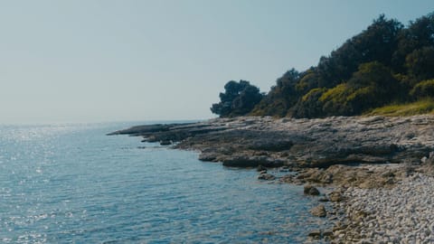 Off site