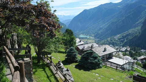 Garden, Garden view, Area and facilities