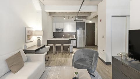 Landing Modern Apartment with Amazing Amenities (ID1227X465) Condo in Charlestown