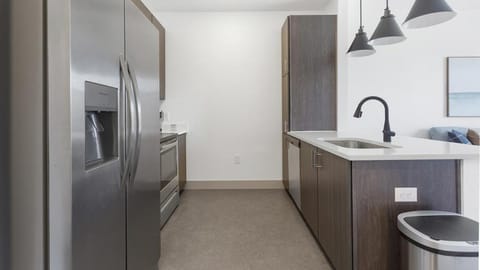 Landing Modern Apartment with Amazing Amenities (ID1791X17) Apartment in Richmond