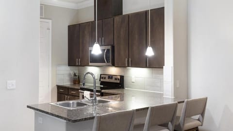 Landing Modern Apartment with Amazing Amenities (ID9958X33) Appartamento in Wells Branch