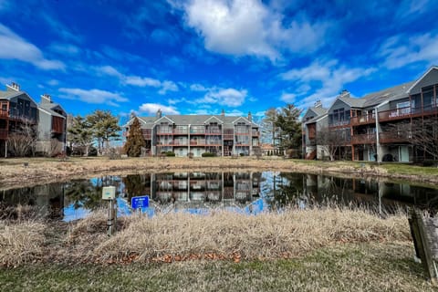 Eagles Landing --- 250 Sea Eagle Dr #8 Apartment in Rehoboth Beach