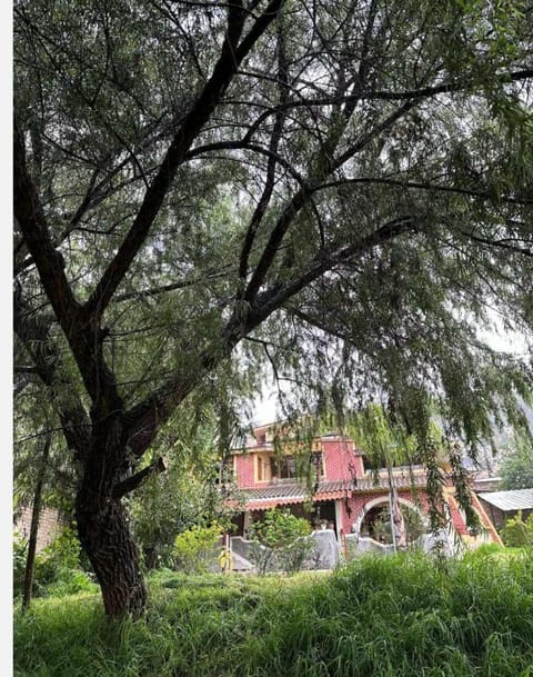 Property building, Natural landscape, Garden, Garden view