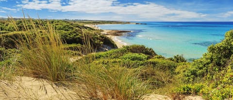 Nearby landmark, Natural landscape