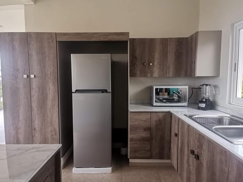 Kitchen or kitchenette, minibar