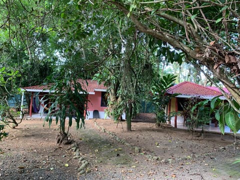 Brigitte's Ranch Chambre d’hôte in Cahuita