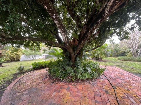 Family 4br Home Near Dadeland Mall House in Pinecrest