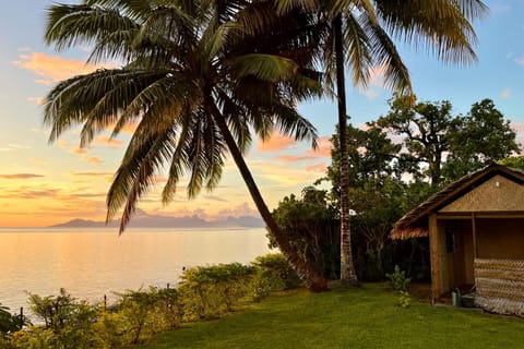 Garden, Sea view, Sunset