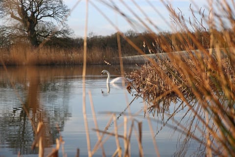 Natural landscape