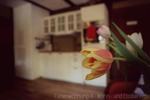 Apartment Grubenhaus20 Condo in Freiberg