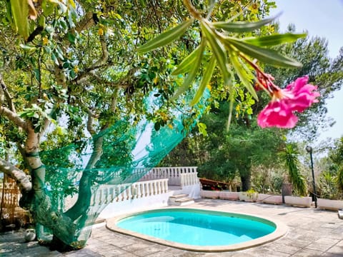 Garden view, Swimming pool