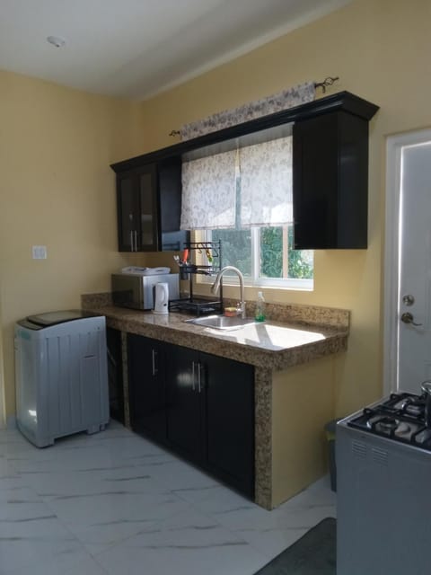 Treasure Deluxe Suites Apartment in Saint Catherine Parish