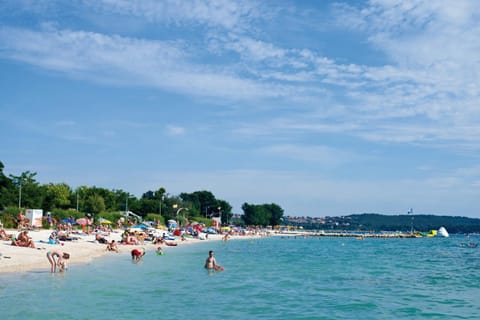 People, Beach, group of guests