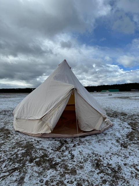 Yellowstone Glamping Luxury tent in Island Park