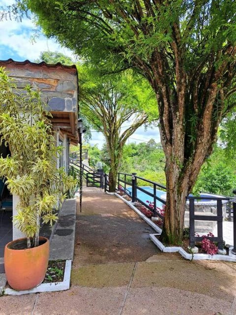 Finca Hotel Palma de Iraka - Quindío - Hasta 26 Personas House in Valle del Cauca