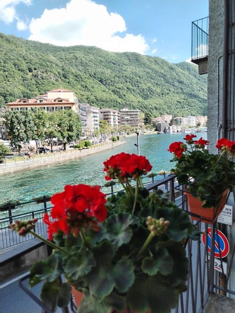 un balcone sul lago Apartment in Omegna