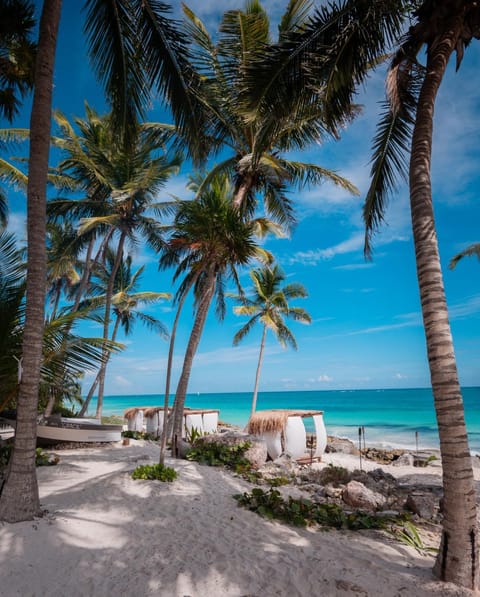 Beach, Sea view