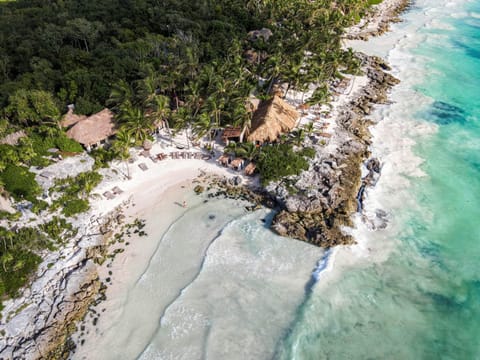 Bird's eye view, Beach, Area and facilities, sunbed