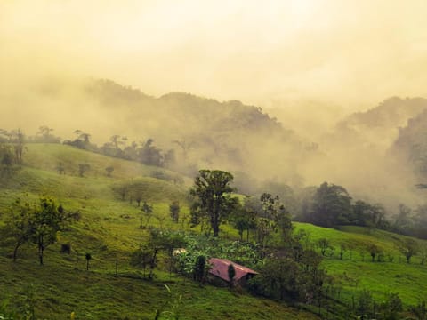 Day, Natural landscape, Mountain view