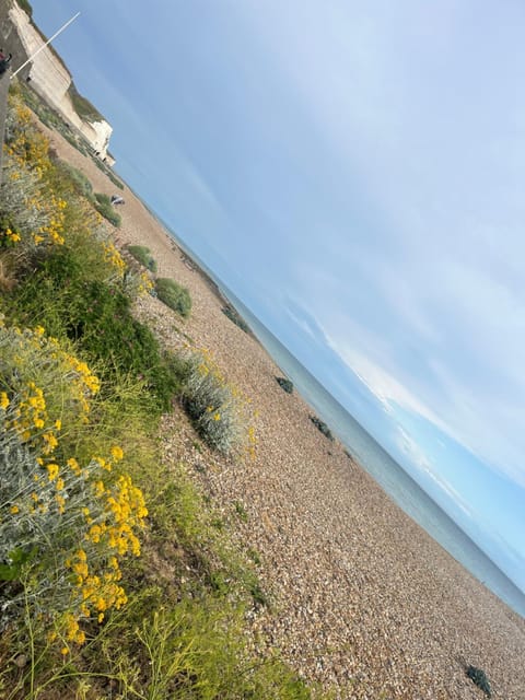 Natural landscape, Beach, Sea view