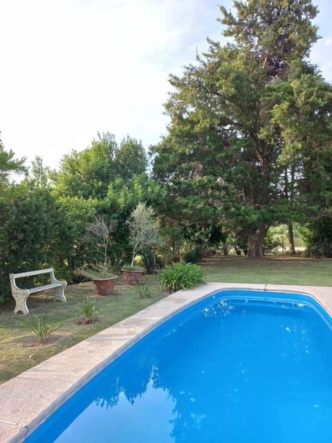 Garden, Swimming pool