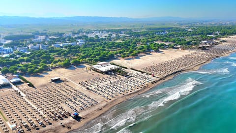 Nearby landmark, Natural landscape, Bird's eye view, Beach