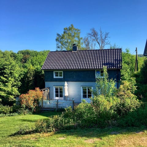 Property building, Spring, Natural landscape, Garden, Garden view