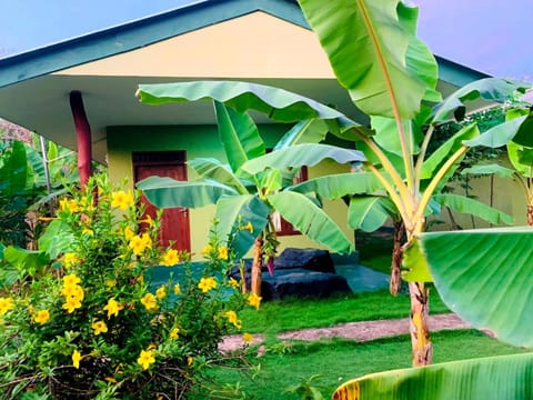 Garden, Garden view