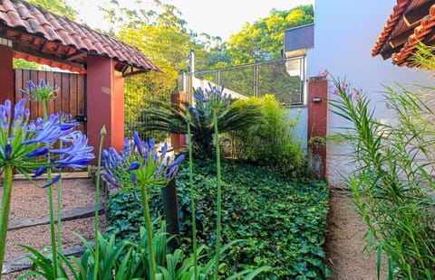 Spring, Day, Garden, Garden view