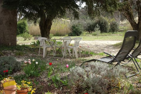 Patio, Garden, Garden view