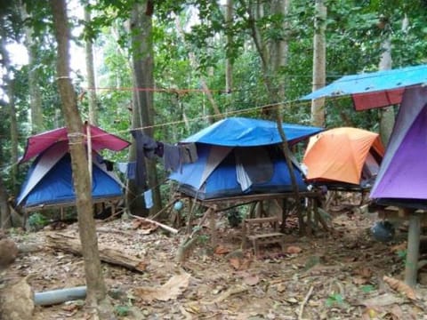 Putu Ubud Glamping Camping Luxury tent in Blahbatuh