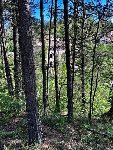 Auberge du Bourguet Hotel in Castellane