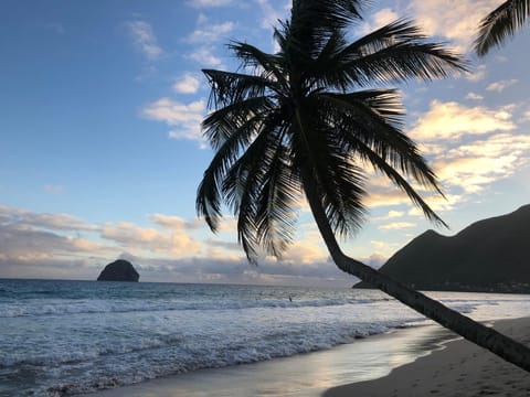 Natural landscape, Beach