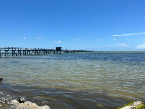 Day, Fishing, Sea view