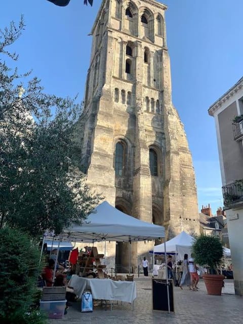 Tours : appartement au cœur du vieux Tours Apartamento in Saint-Cyr-sur-Loire