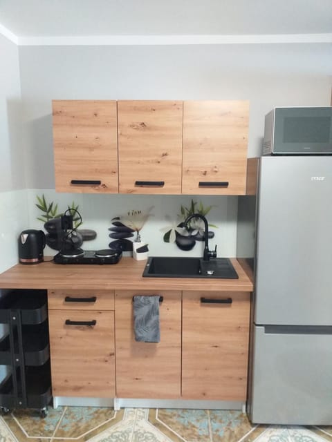 Kitchen or kitchenette, minibar, pet friendly, stove