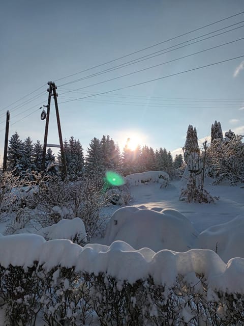 Winter, Garden