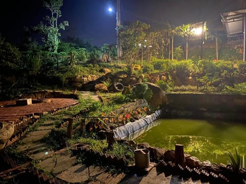 Night, Natural landscape, Garden, Garden view