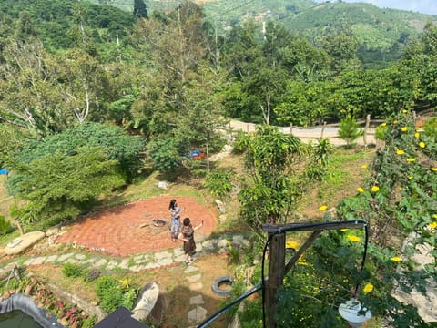 Day, People, Natural landscape, Garden, Garden view, Mountain view, group of guests