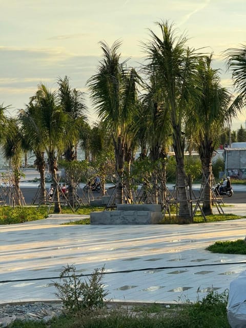 Neighbourhood, Natural landscape, Garden