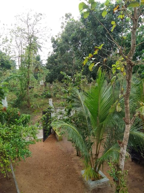 Jungle Tree House Villa Villa in Mirissa