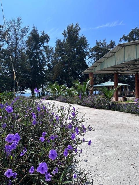 Spring, Day, Garden, Garden view