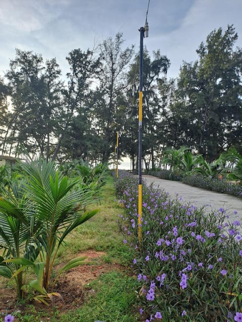 Natural landscape, Garden view