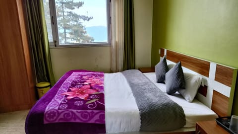 Wonder Valley budget friendly Vacation rental in Shimla