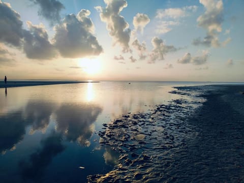 Day, Natural landscape, Beach, Sea view, Sunrise