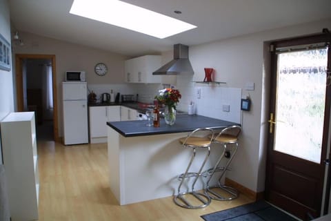 Bright spacious mews in great location Apartment in Dublin