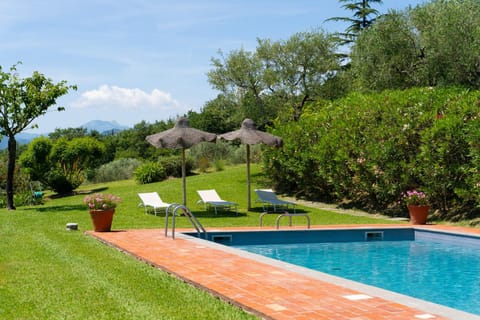 Natural landscape, Garden, Garden view, Pool view, Swimming pool, sunbed