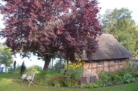 Reetdachkate auf Gestüt Schierensee House in Malente