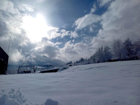 Natural landscape, Winter