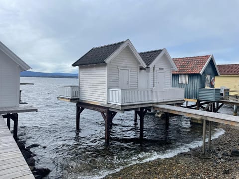 Flaskebekk at Nesodden with unbeatable Oslo Fjord views and a private beach hut House in Oslo